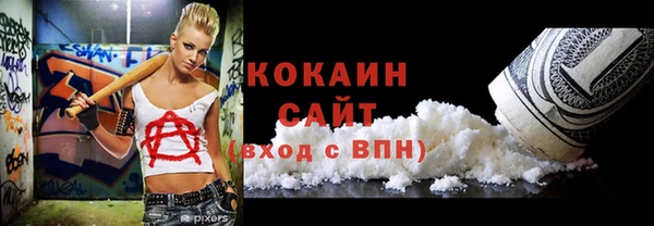 дмт Лабытнанги