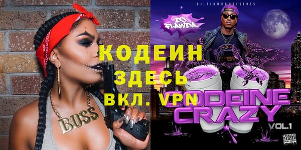 дмт Лабытнанги