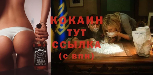 дмт Лабытнанги