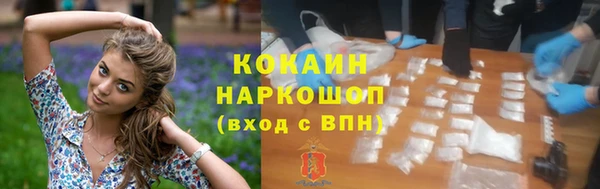 дмт Лабытнанги