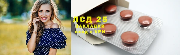 индика Лагань