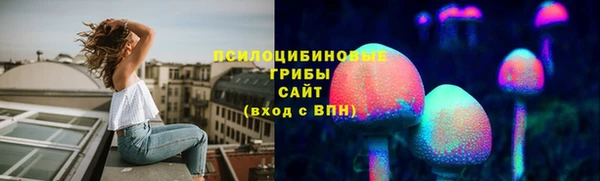 индика Лагань