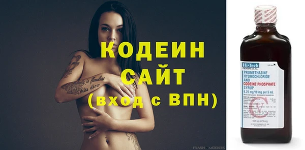 индика Лагань
