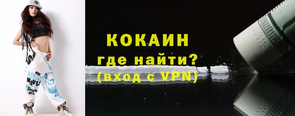 дмт Лабытнанги