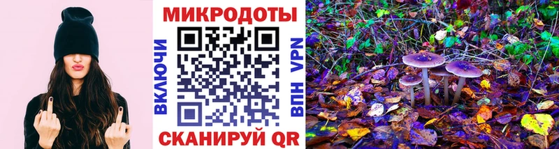 Купить где  Алупка  Псилоцибиновые грибы Psilocybine cubensis 